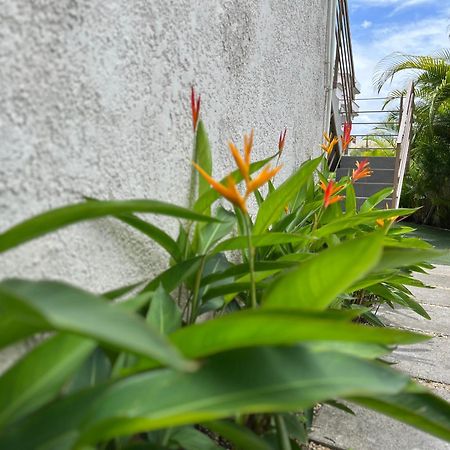 Seasons Break Apartment Pereybere Pereybere Beach Ngoại thất bức ảnh
