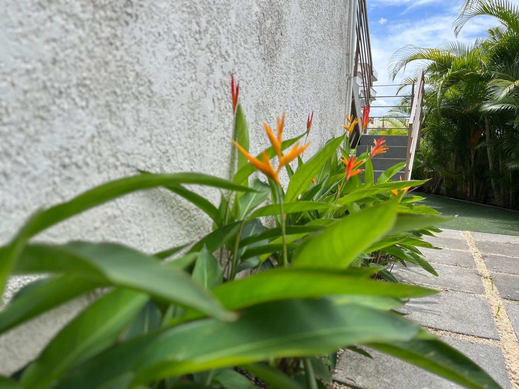 Seasons Break Apartment Pereybere Pereybere Beach Ngoại thất bức ảnh